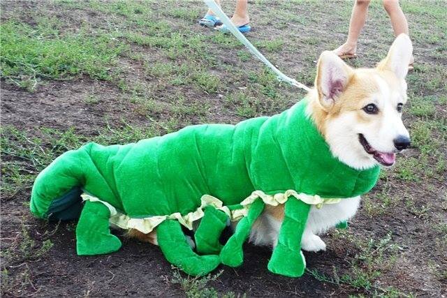 карнавальный костюм сороконожки