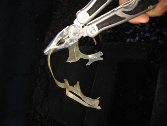 Житель Соединенных Штатов Америки встретил небольшого зверька, который не подавал никаких признаков жизни, поэтому подумал, что животное погибло. С виду этот зверек был похож на большую пушистую крысу.-2