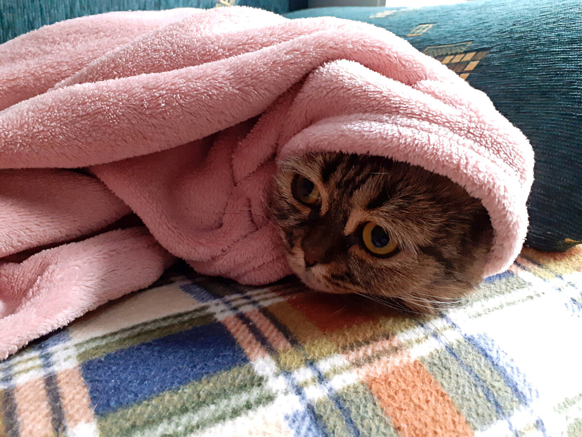 Нюша успешно косплеит меня