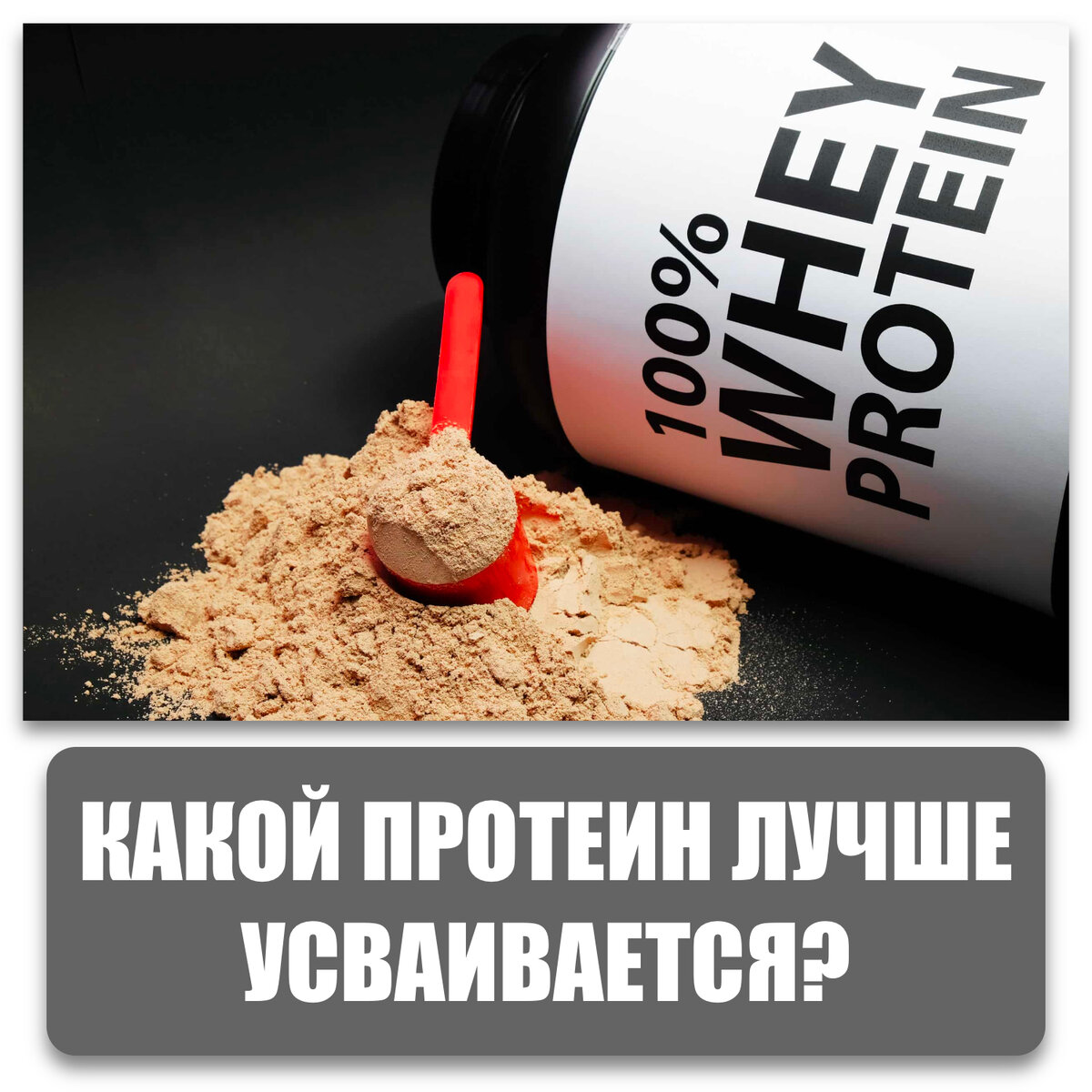 КАЗЕИН, СЫВОРОТОЧНЫЙ ПРОТЕИН ИЛИ МОЛОЧНЫЙ КОНЦЕНТРАТ, ЧТО ЛУЧШЕ ...
