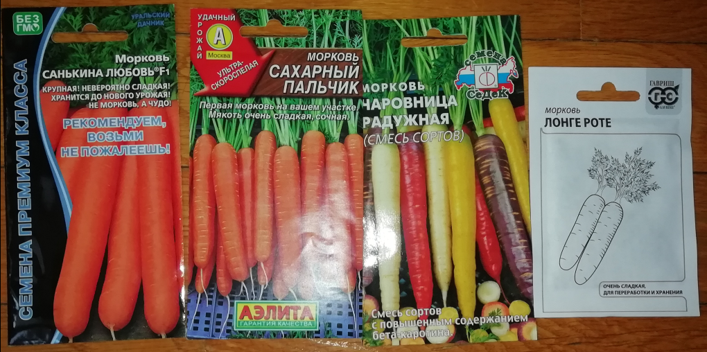 Морковь вяза на пробу. Тот сорт, что сажала, не смогла купить, не было.