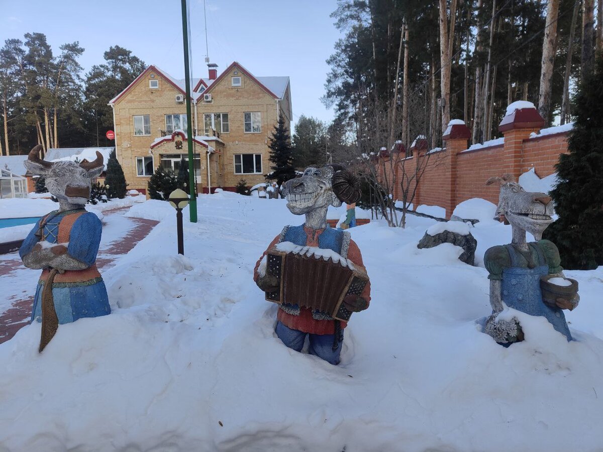 Сказочное место под Тюменью: новая база отдыха «Лесная сказка Сибири» |  Visit Tyumen | Дзен