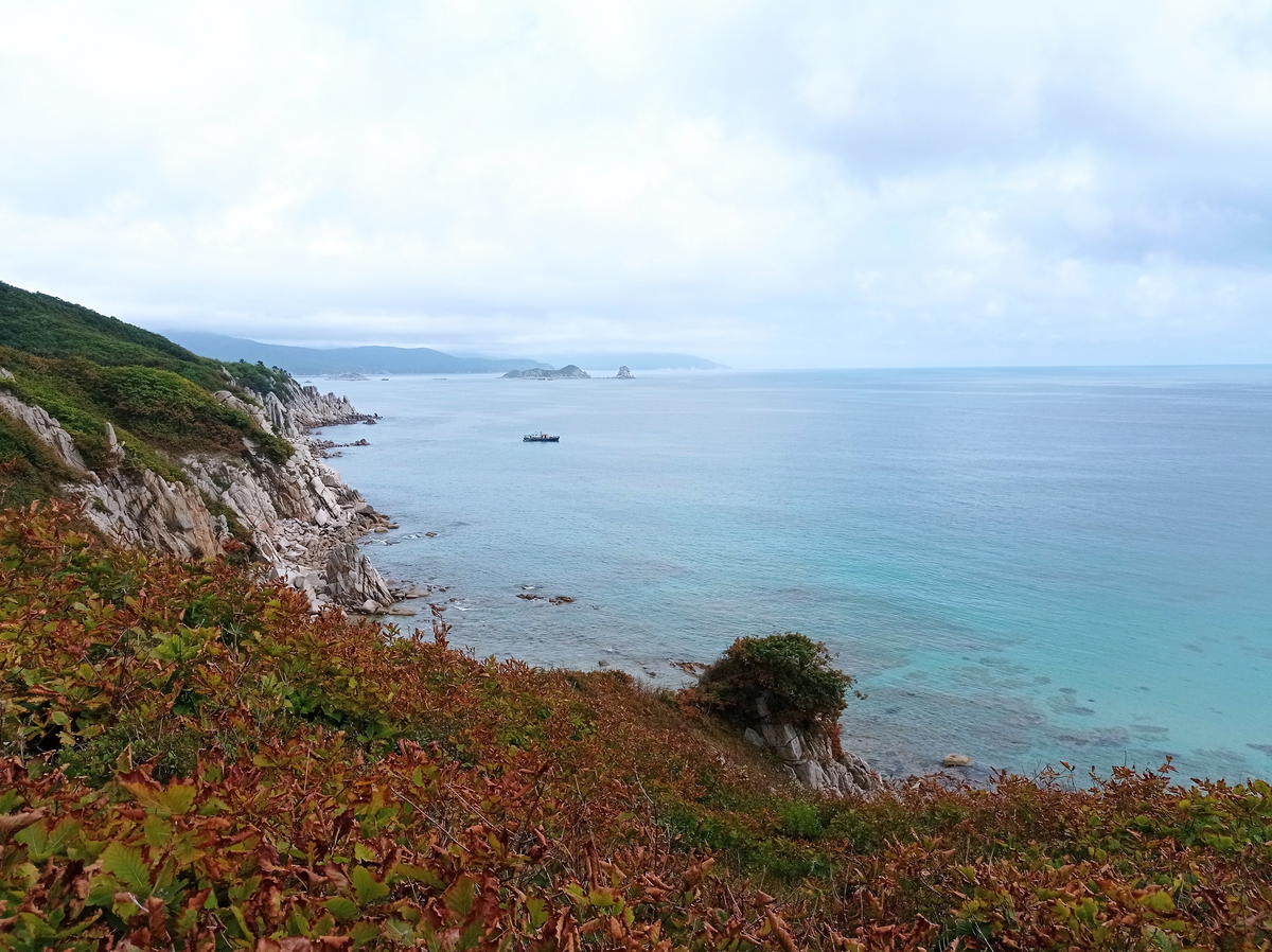 Приморье-2021. Часть третья. Бухта Ежовая. | Планета Россия | Дзен