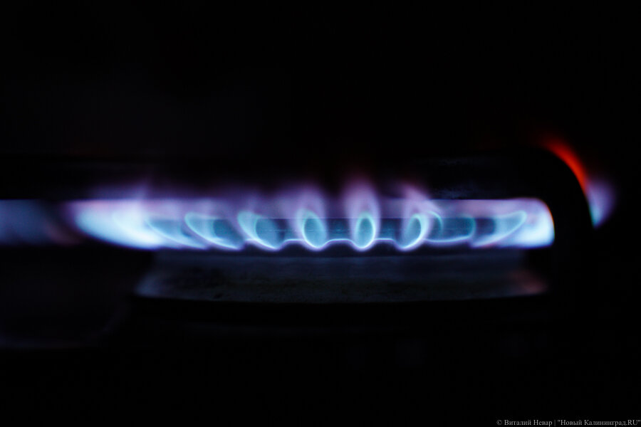 Фото: Виталий Невар / Новый Калининград