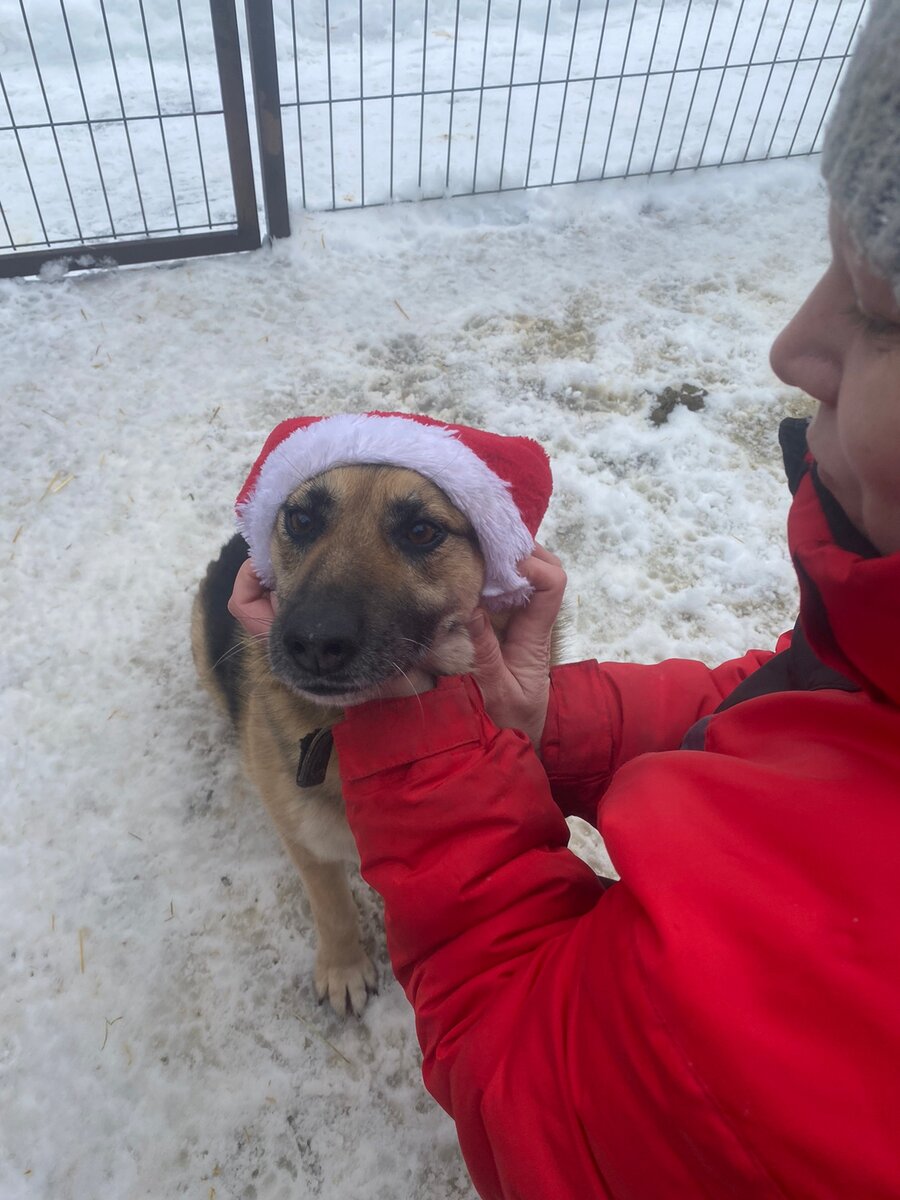 Бровка ищет дом