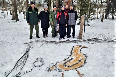    Птица из зерен и семечек © Сайт Комитета лесного хозяйства Московской области