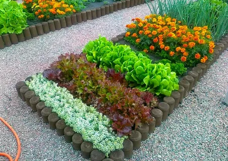 ТАК ЖЕ МОЖЕТЕ РАЗНООБРАЗИТЬ