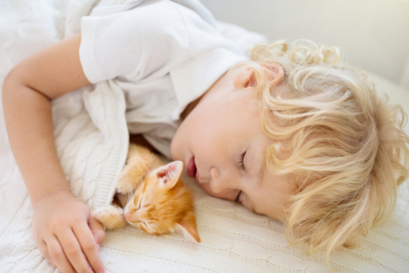   FamVeld, istockphoto