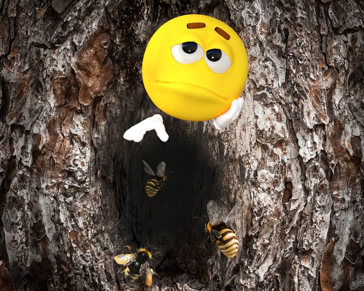 Дикие пчёлы