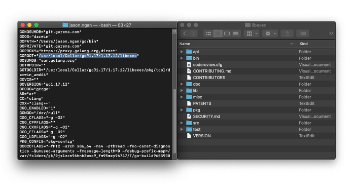 В GOROOT хранится SDK для Go