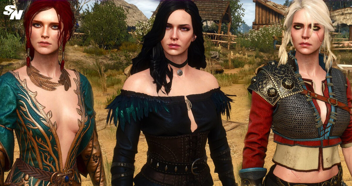 The Witcher 3  

