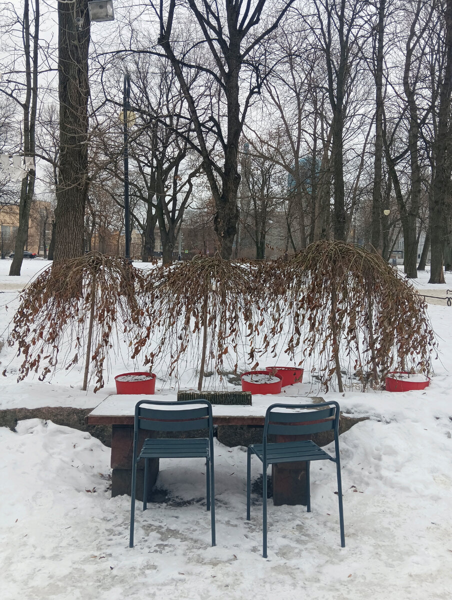 Территория вокруг кофейни. 