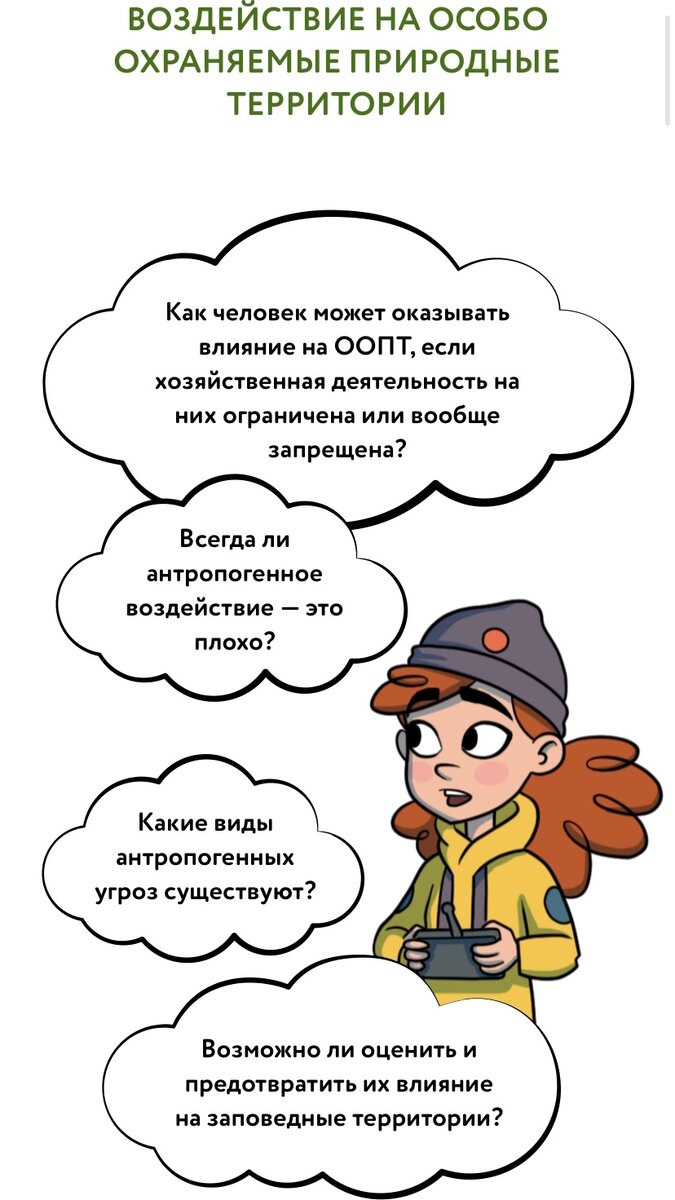 Как выбрать подходящую профессию в сфере экологии? Подскажет Дом на дереве!  | Движение за экологию «Друзья окружающего мира» ДОМ | Дзен