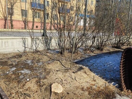     фото из телеграм-канала «Гражданская солидарность»