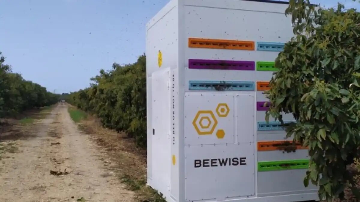 Фото: beewise.ag Роботизированный улей BeeHome