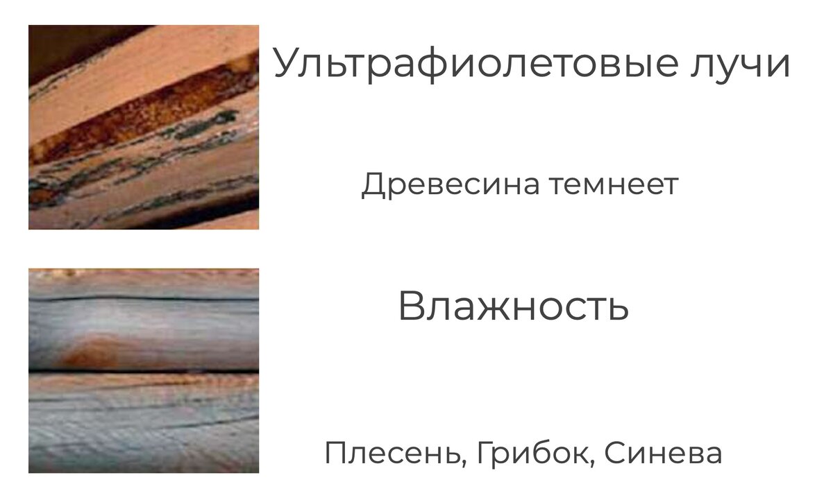 Почему дерево чернеет. Потемнение древесины. Отбеливание потемневшей древесины. Засмолок древесины. Чураки древесины это.