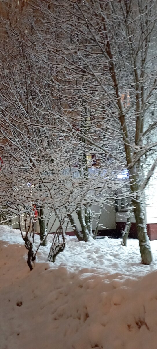 Прекрасный поздний вечер 04 марта 2023 года. Фото моё.