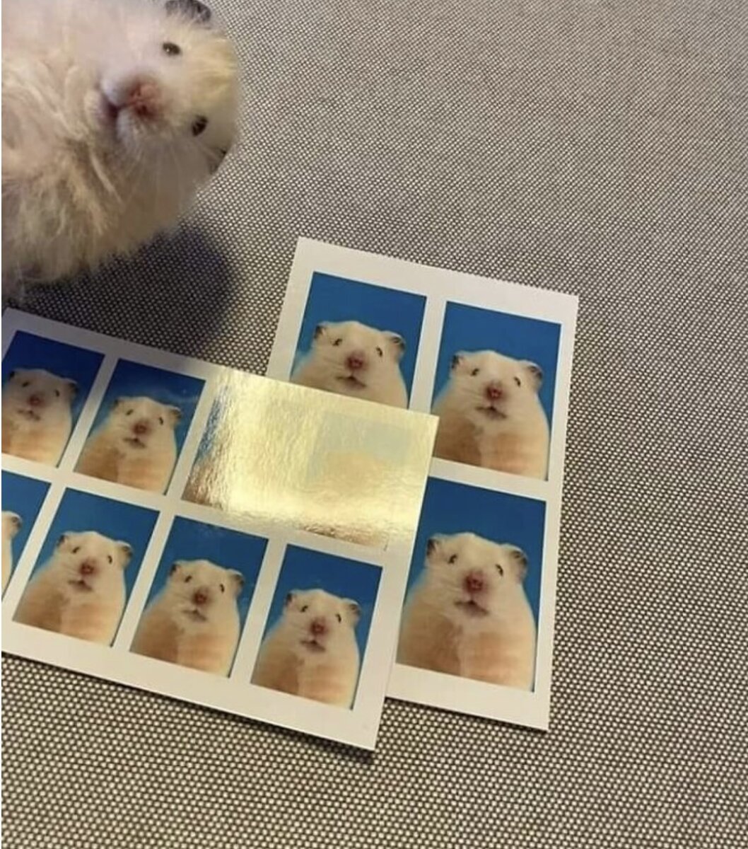 Изображение Reddit 