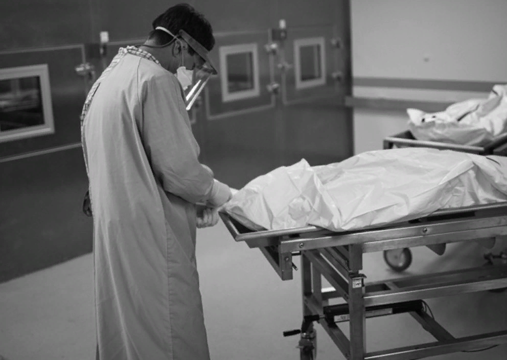 Картинка взята с открытого источника https://book-horror.ru/wp-content/uploads/2021/07/patologoanatom.jpg