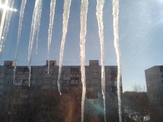     ФОТО: КИРИЛЛ ЯНЧИЦКИЙ / "МК В ОМСКЕ"