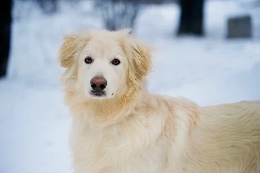 Не очень понятно, почему этот парень до сих пор не дома!
