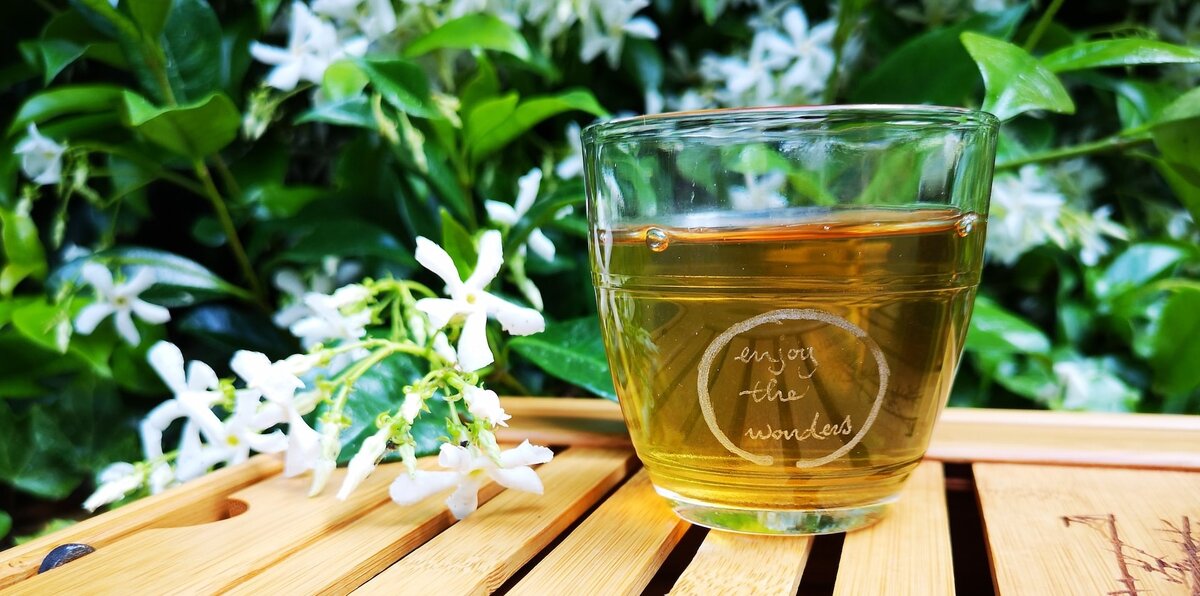 Image Credit: Verena Böttcher | unsplash.com/@verenaxxs