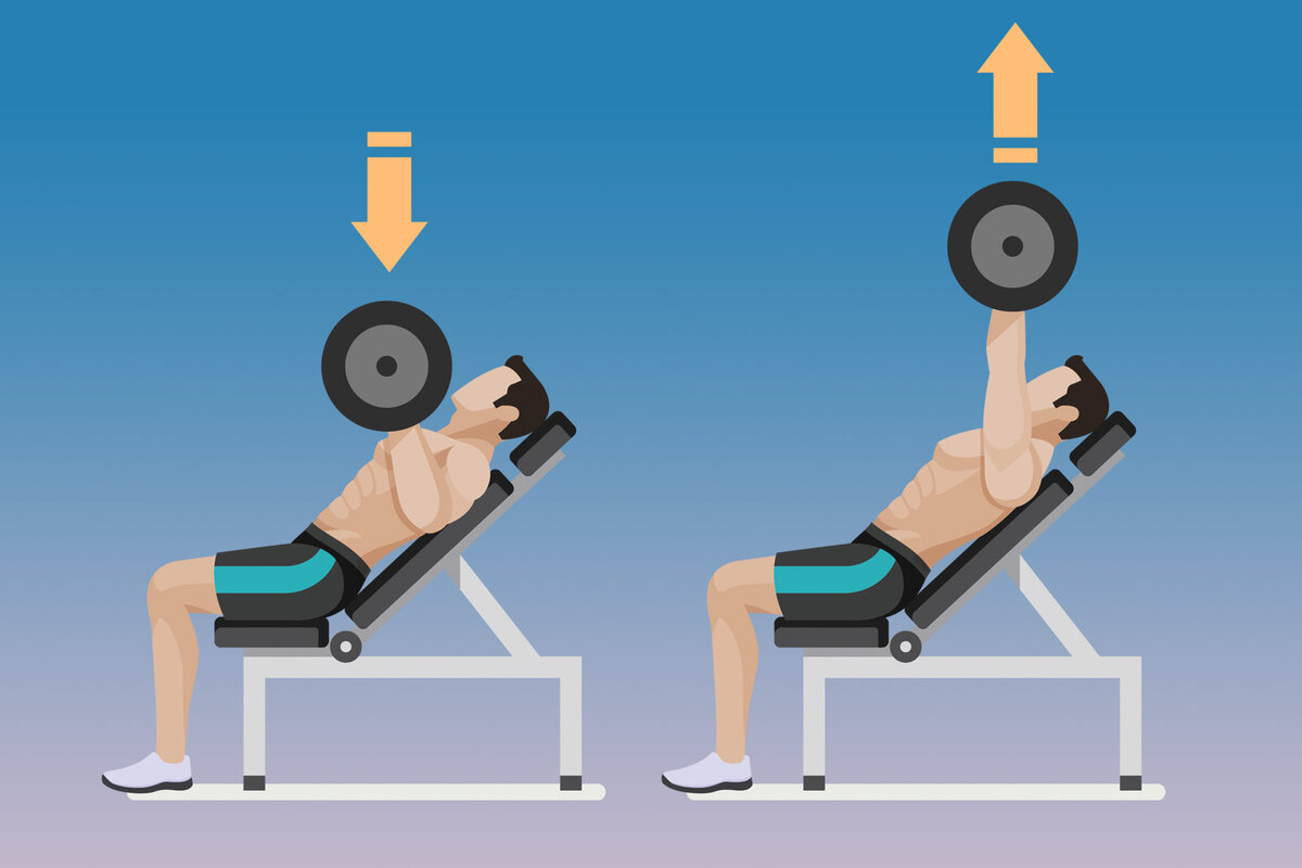 Базовые упражнения на грудь — описание техники, картинки и биомеханика |  Фитсевен | Дзен