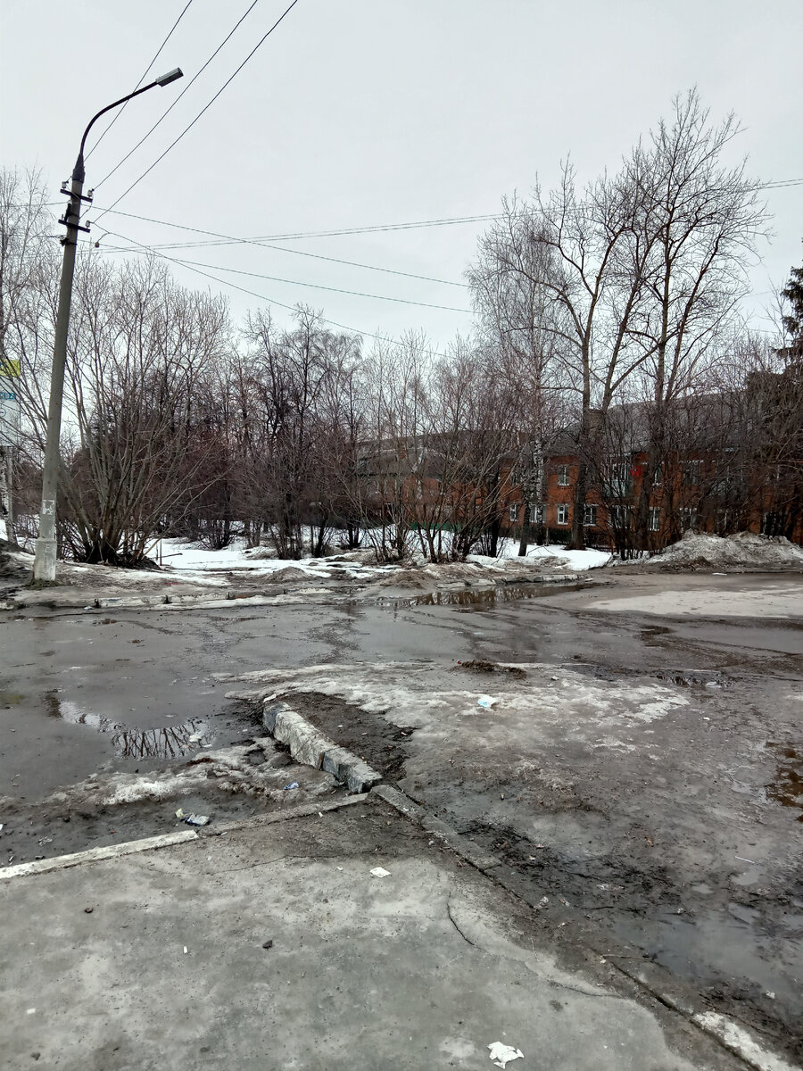 Такая картинка наверное сейчас по всей России, грязь, слякоть и голые деревья.