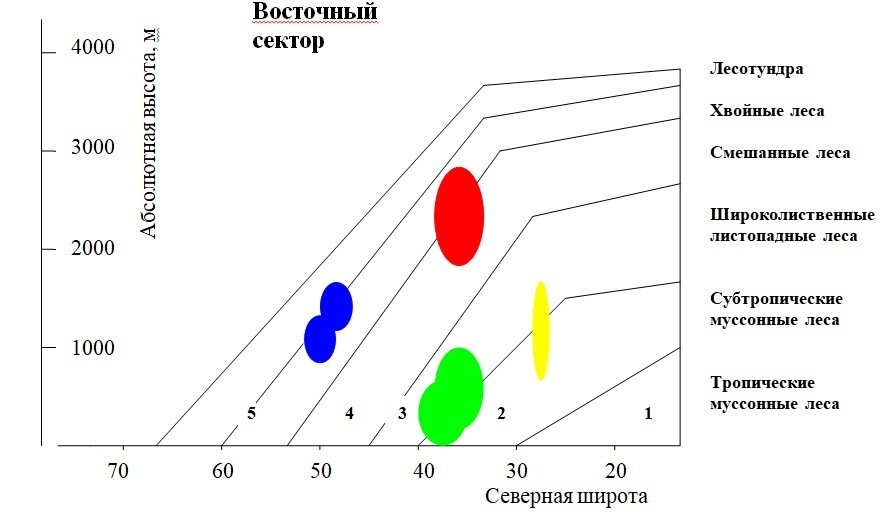 Восточный сектор северных материков с муссонным климатом  

