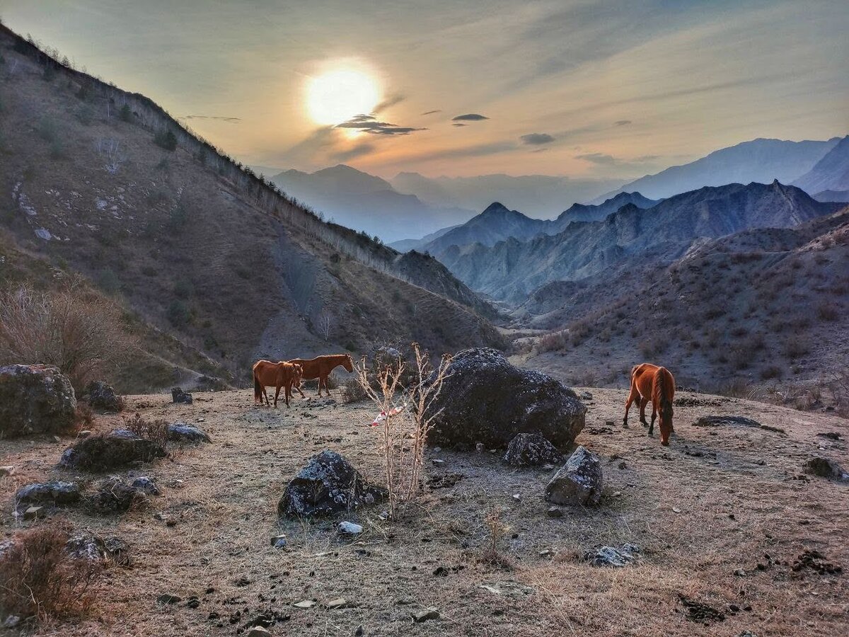 Дагестанский трейл 2022. Дагестанский трейл 2022. Дагестан трейл. Dagestan wild trail 2022. Dagestan wild trail.