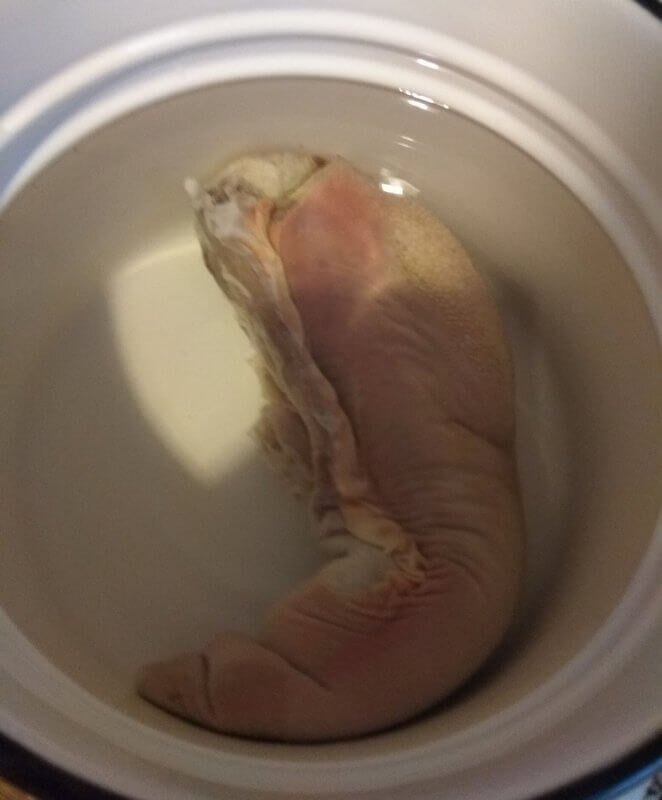 Говяжий язык