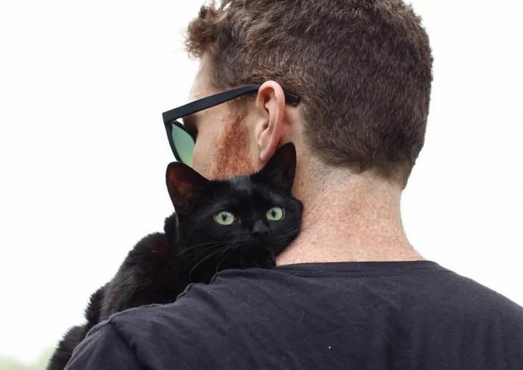 Источник: Яндекс.Картинки