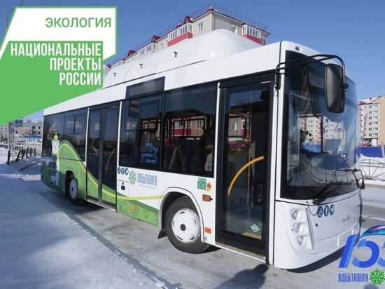     Фото: администрация Лабытнанги