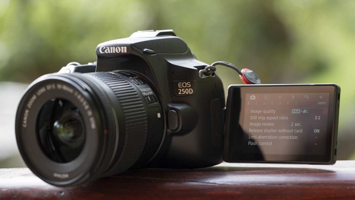 Canon eos 200d примеры фото