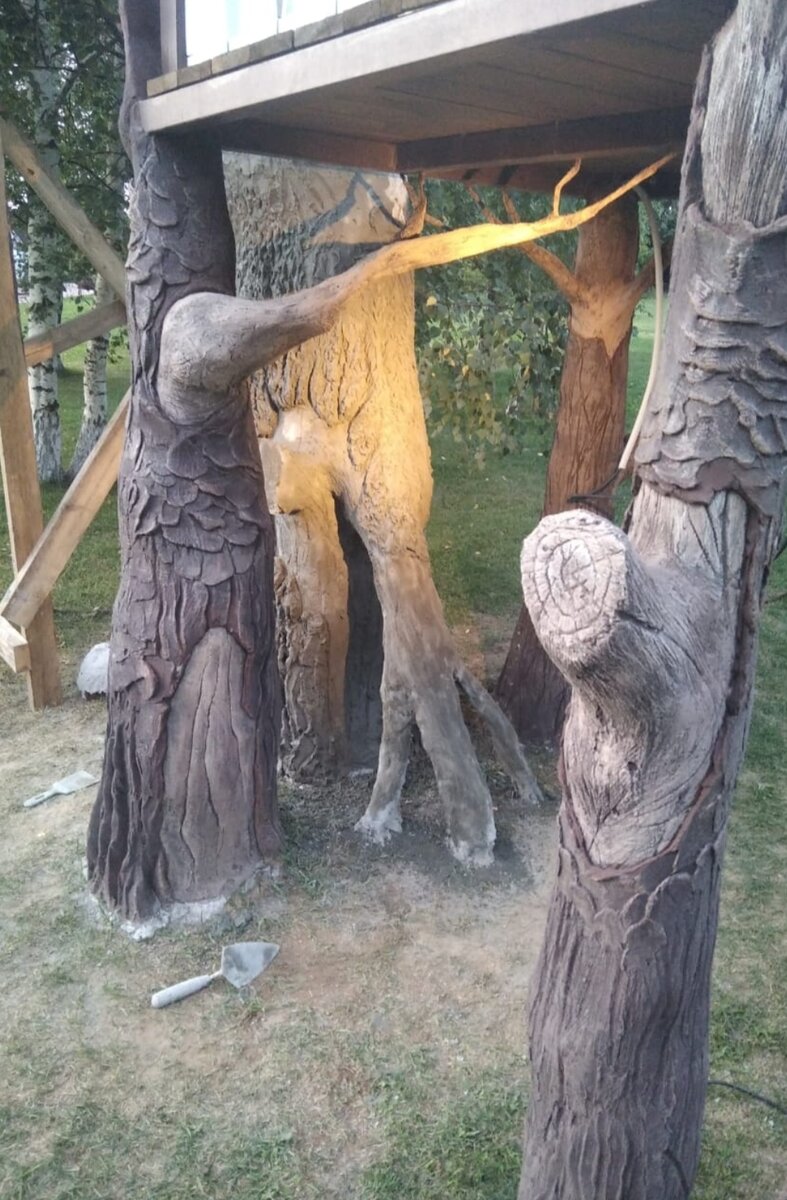 Эти деревья выросли за 3 дня