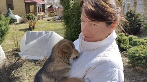 Супер отпуск на даче дзен