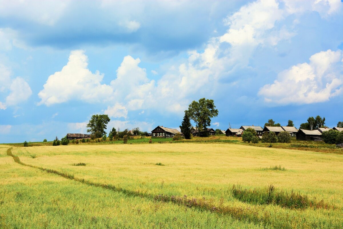 Поле в деревне фото