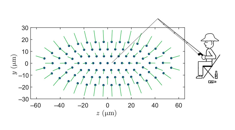   Dominik Kiesenhofer et al. / PRX QUANTUM, 2023; N + 1