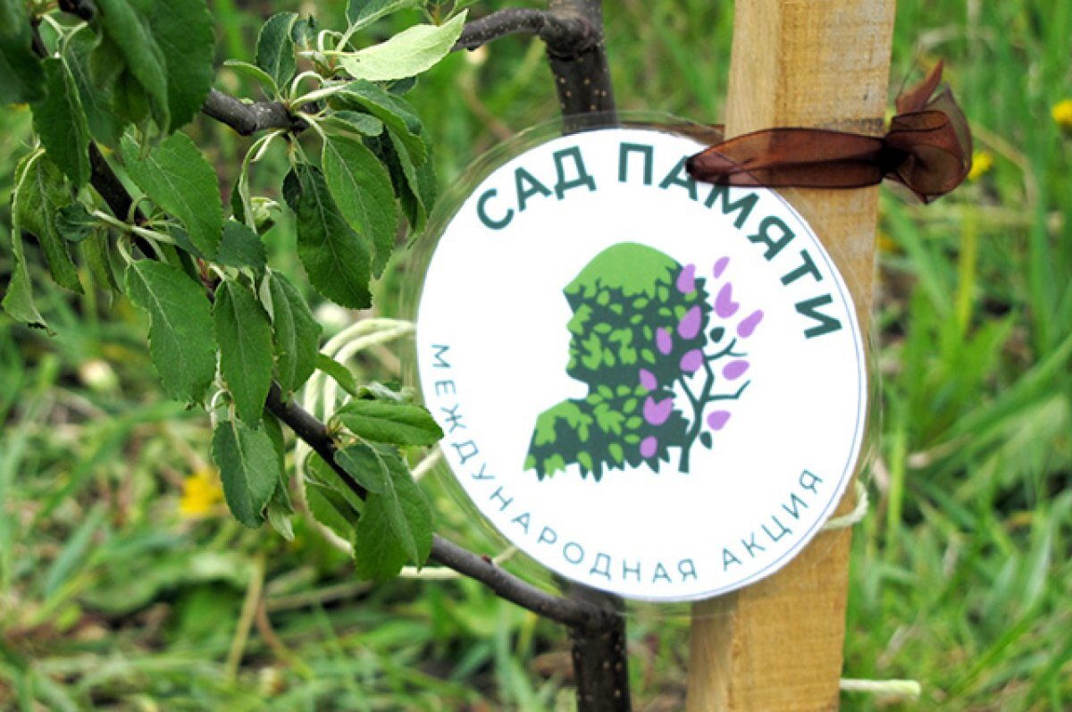    Жители Красноярского края в память о героях войны высаживают деревья