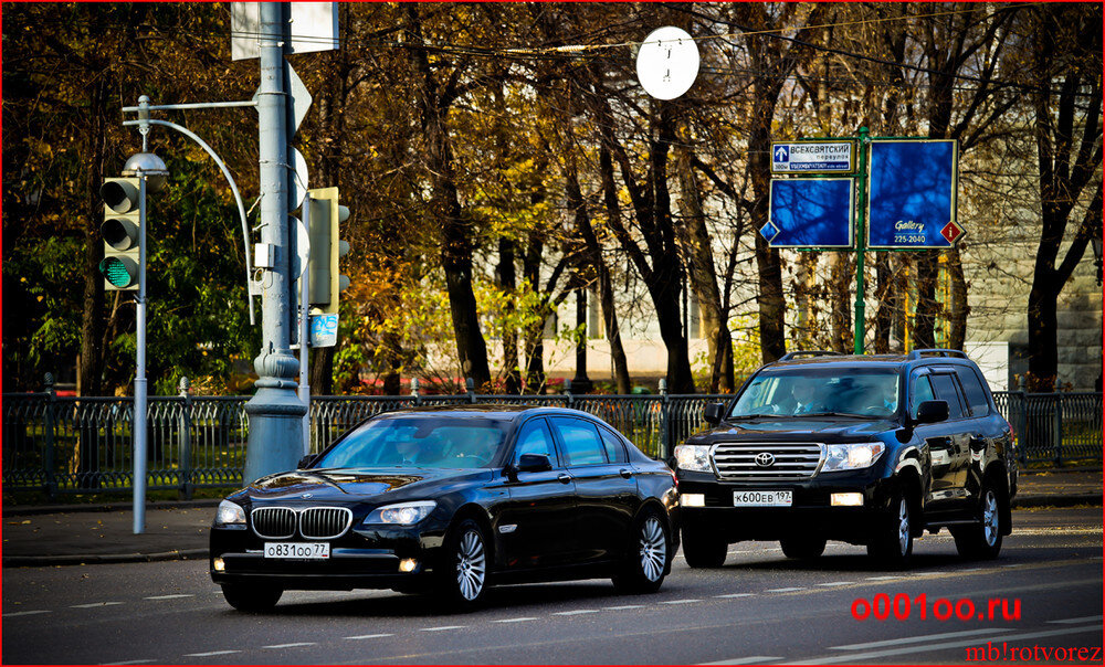 Фото из сайта migalki.net