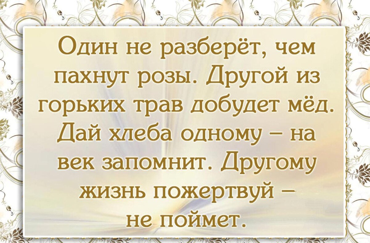 Омар Хайям. Четверостишия, которые помогают мне в жизни | МАРУСЯ из  белорусской глубинки | Дзен