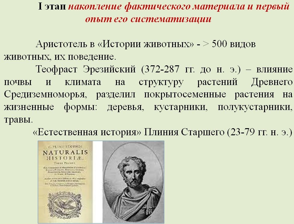 доклад по спарте. реферат по истории кратко. реферат по истории кратко. как оформлять реферат. сообщение о невском кратко.