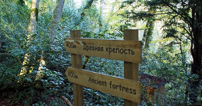 Указатели в Тисо-самшитовой роще