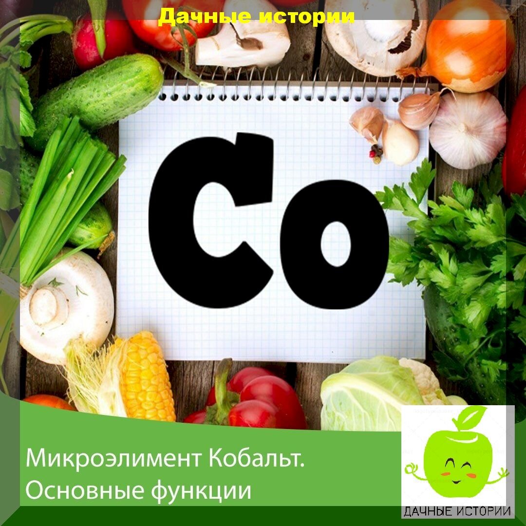 https://vk.com/photo-159774511_457244249