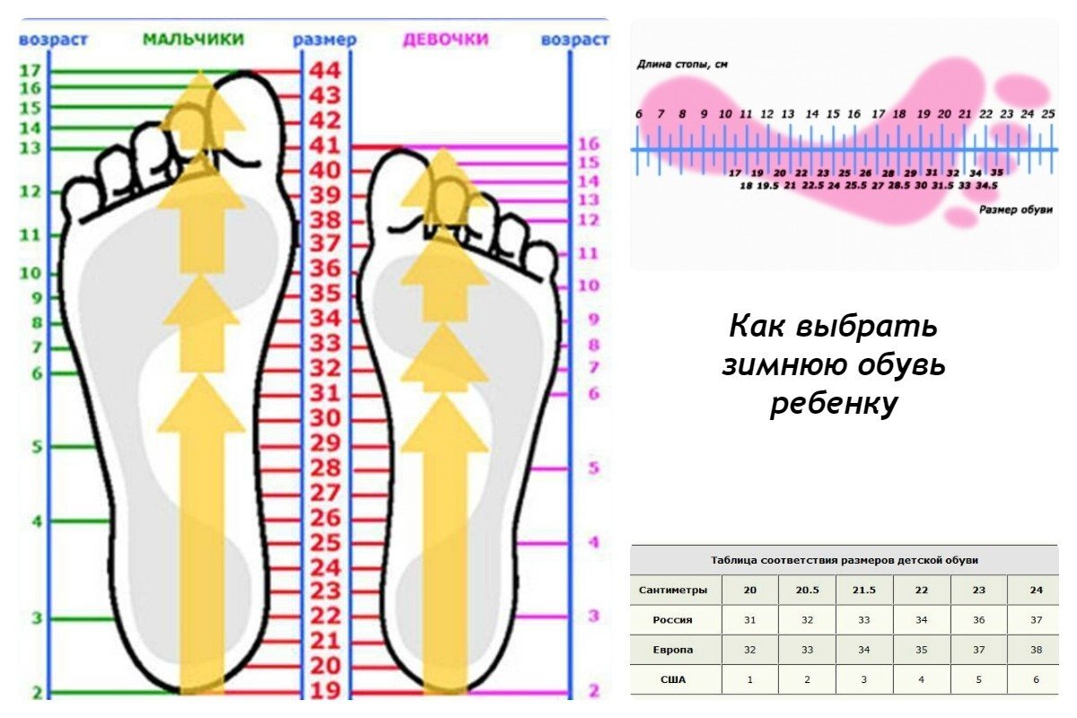 Определить обувь