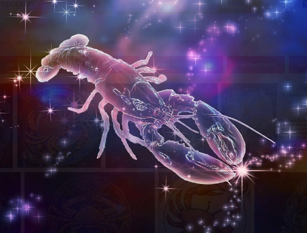 Фотография взята из источника yandex.ru 