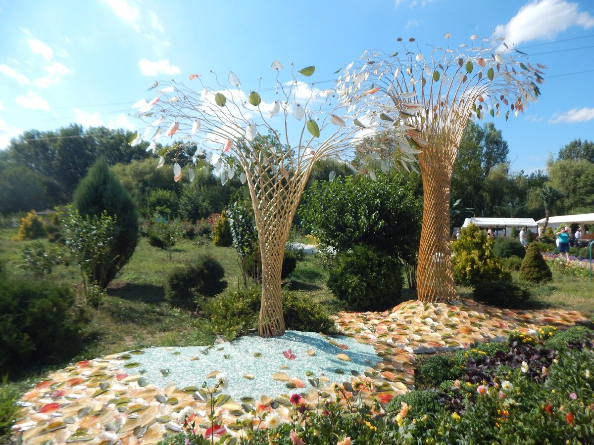 деревья, осень