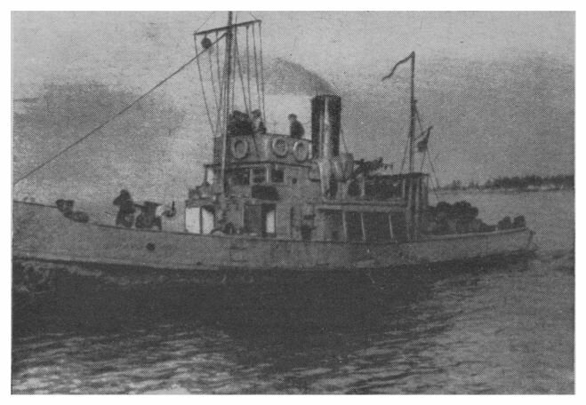 Тральщик "№ 126" , бывший буксир «Ижорец-66»