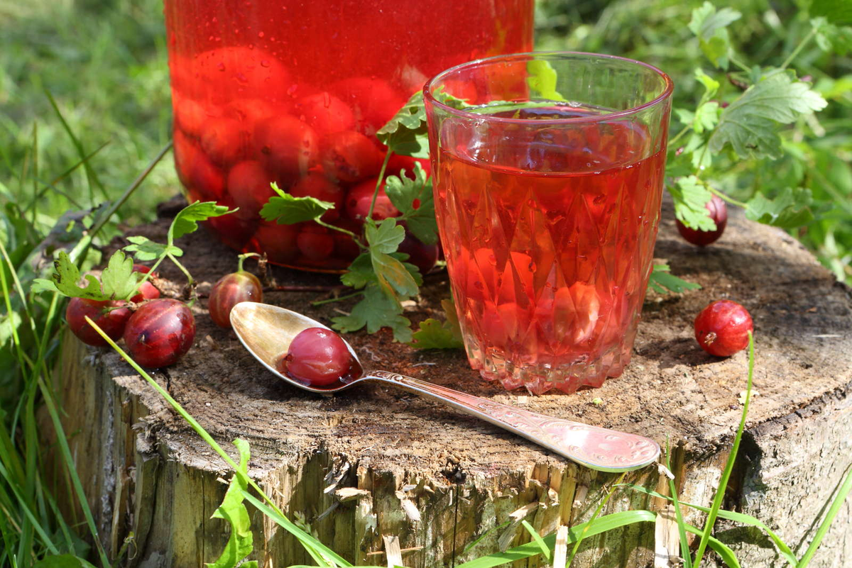 Крыжовник красный. Вино из ягодП
