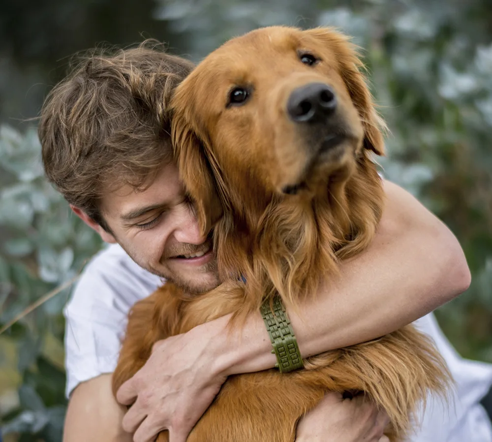 источник яндекс картинки